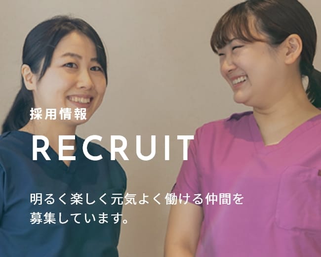 採用情報